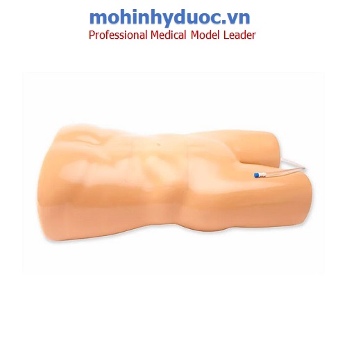 Mô hình đào tạo chọc hút màng bụng, ổ bụng có hướng dẫn bằng siêu âm
