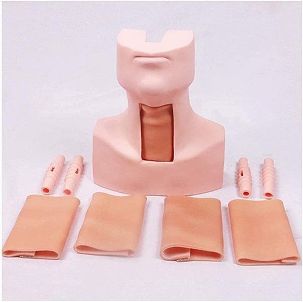 MÔ HÌNH ĐÀO TẠO MỞ NỘI KHÍ QUẢN
