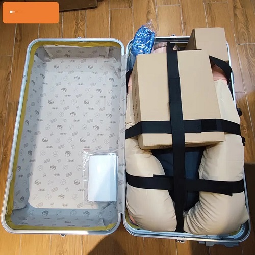 MÔ HÌNH ĐÀO TẠO SƠ CỨU TOÀN THÂN CPR VỚI BỘ ĐIỀU KHIỂN GIỌNG NÓI TIẾNG ANH