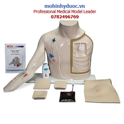 MÔ HÌNH ĐẶT CATHETER TĨNH MẠCH TRUNG TÂM SB52875U