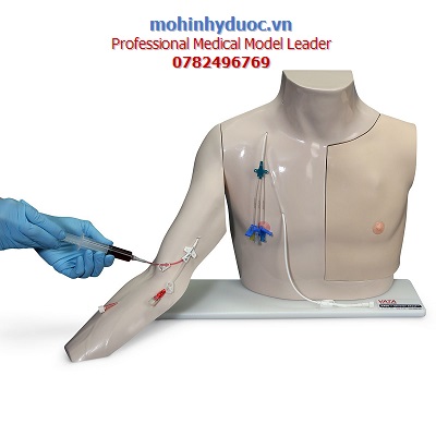 MÔ HÌNH ĐẶT CATHETER TĨNH MẠCH TRUNG TÂM SB52875U