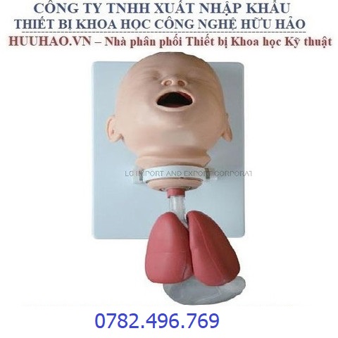 MÔ HÌNH ĐÀO TẠO ĐẶT NỘI KHÍ QUẢN TRẺ EM