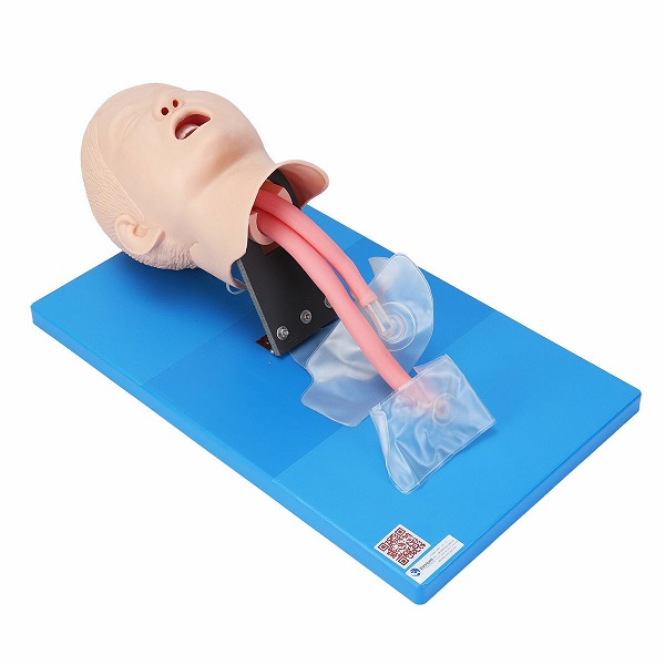 MÔ HÌNH THỰC HÀNH ĐẶT NỘI KHÍ QUẢN TRẺ EM