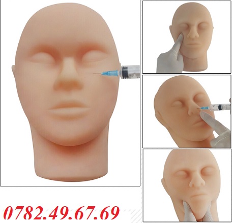 MÔ HÌNH THỰC HÀNH ĐẦU MẶT CỔ SILICON