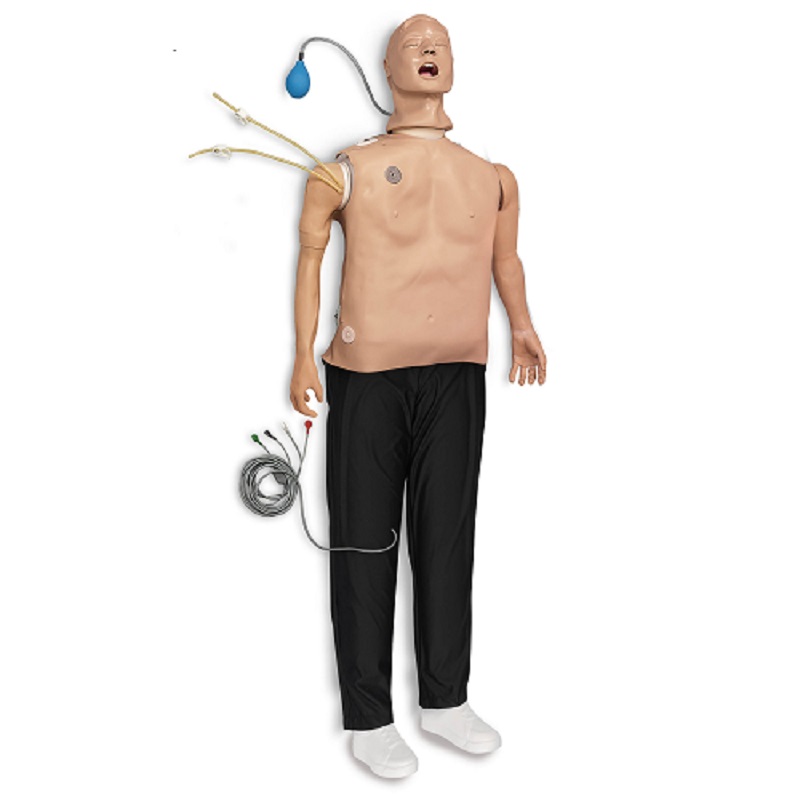 MÔ HÌNH ĐIỀU DƯỠNG CHĂM SÓC BỆNH NHÂN ĐA NĂNG LF03890 NASCO HEALTHCARE