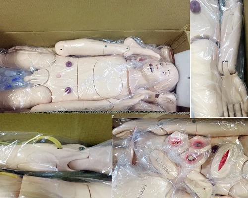 MÔ HÌNH ĐIỀU DƯỠNG ĐA CHỨC NĂNG KÈM ĐO HUYẾT ÁP NGƯỜI LỚN HH-LP/2300