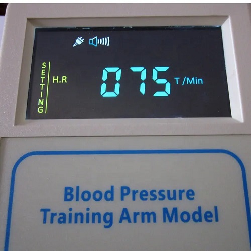 MÔ HÌNH ĐIỀU DƯỠNG ĐA CHỨC NĂNG KÈM ĐO HUYẾT ÁP NGƯỜI LỚN HH-LP/2300