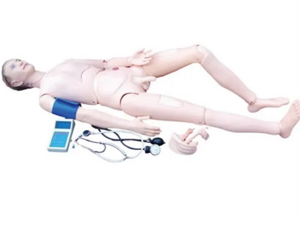 MÔ HÌNH ĐIỀU DƯỠNG ĐA NĂNG KÈM ĐO HUYẾT ÁP NAM