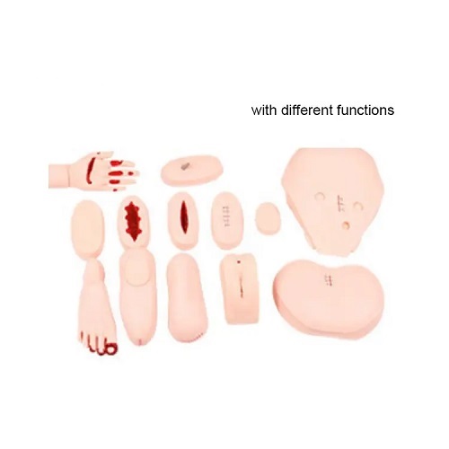 MÔ HÌNH ĐÀO TẠO ĐIỀU DƯỠNG CHĂM SÓC BỆNH NHÂN ĐẦY ĐỦ CHỨC NĂNG NAM NỮ TRƯỞNG THÀNH SL-HH-NM03