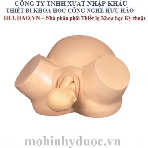 MÔ HÌNH THỰC TẬP ĐỠ ĐẺ HH-419A