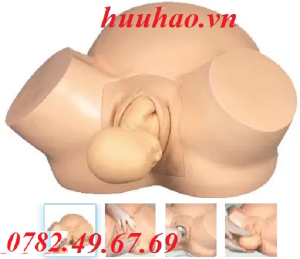 MÔ HÌNH THỰC TẬP ĐỠ ĐẺ HH-419A