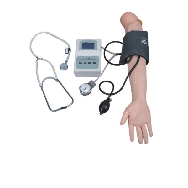 MÔ HÌNH THỰC HÀNH ĐO HUYẾT ÁP VÀ TIÊM TRUYỀN TĨNH MẠCH