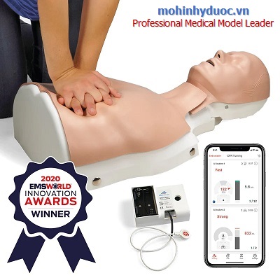 MÔ HÌNH ÉP TIM NỬA NGƯỜI P72PLUSL (1022682) NASCO
