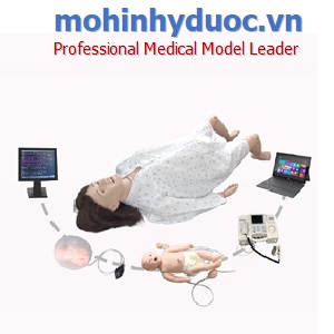 MÔ HÌNH HỆ THỐNG ĐÀO TẠO SẢN KHOA TOÀN DIỆN