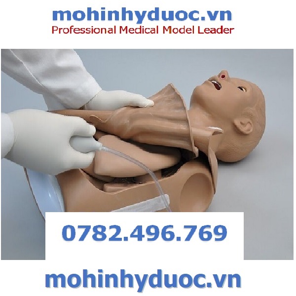 MÔ HÌNH HỒI SỨC CẤP CỨU BÁN THÂN S309