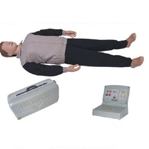 MÔ HÌNH HỒI SỨC TIM PHỔI TOÀN THÂN CPR-300S