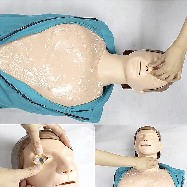 MÔ HÌNH HỒI SỨC TIM PHỔI BÁN THÂN CÓ HỘP ĐIỀU KHIỂN KHÔNG CÓ MÁY IN CPR