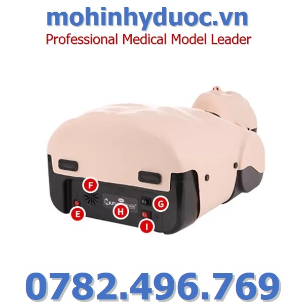 MÔ HÌNH ĐÀO TẠO HỒI SINH TIM PHỔI CPR NURUGO HÀN QUỐC