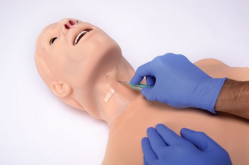 MÔ HÌNH HUẤN LUYỆN HỒI SINH TIM PHỔI  VÀ HÔ HẤP NHÂN TẠO ĐA NĂNG NGƯỜI LỚN - HAL S315.100