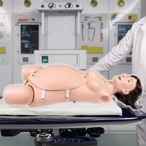 MÔ HÌNH HUẤN LUYỆN PHẪU THUẬT SẢN KHOA GD/F49