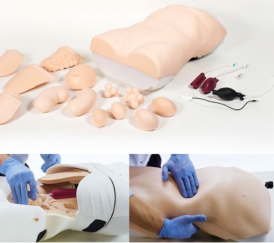 MÔ HÌNH THỰC HÀNH THĂM KHÁM Ổ BỤNG