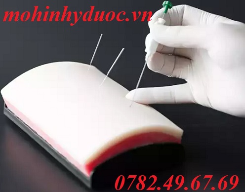 MÔ HÌNH THỰC TẬP KHÂU VẾT THƯƠNG