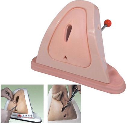 MÔ HÌNH THỰC HÀNH KHÂU TẦNG SINH MÔN