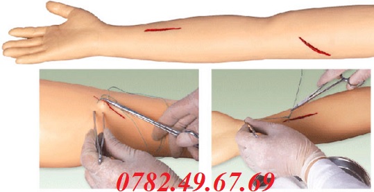 MÔ HÌNH ĐÀO TẠO KHÂU VẾT THƯƠNG CHI TRÊN