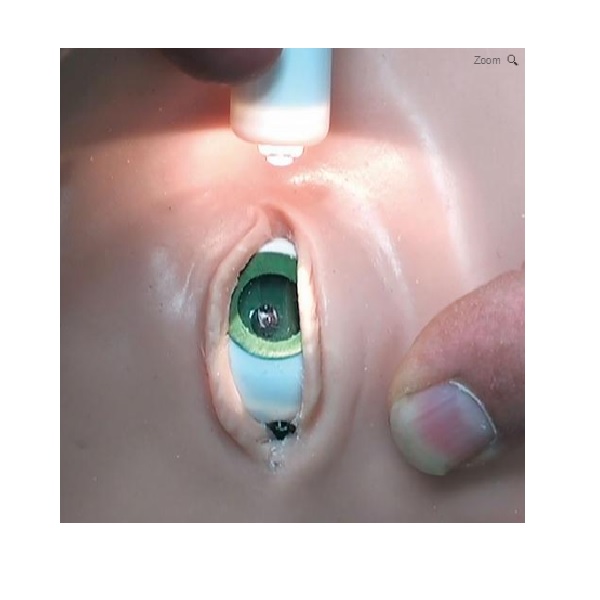 MÔ HÌNH MÔ PHỎNG BỆNH NHÂN KẾT NỐI MÁY TÍNH – 1018473 – 3B SCIENTIFIC