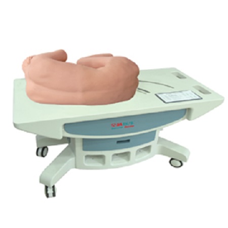 MÔ HÌNH MÔ PHỎNG THỦ THUẬT CHỌC DÒ TỦY SỐNG THẮT LƯNG THÔNG MINH CAO CẤP GD/L260C