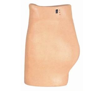 MÔ HÌNH MÔ PHỎNG TIÊM MÔNG ĐIỆN TỬ