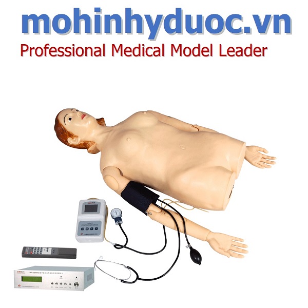 Mô hình nghe tim phổi, đo huyết áp, xem mạch điều khiển kỹ thuật số