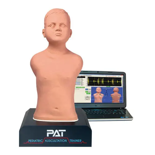 MÔ HÌNH NGHE TIM PHỔI NÂNG CAO KẾT NỐI VỚI MÁY TÍNH – 1020097 – 3B SCIENTIFIC