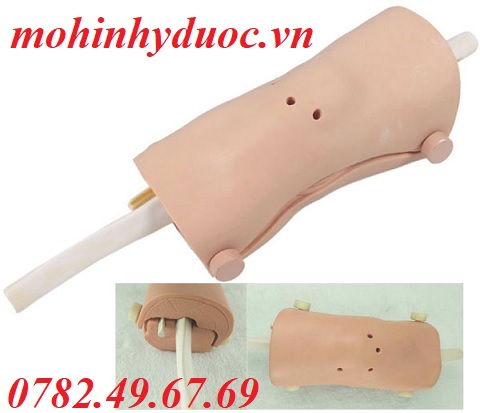 MÔ HÌNH THỰC HÀNH PHẪU THUẬT NỘI SOI KHỚP GỐI