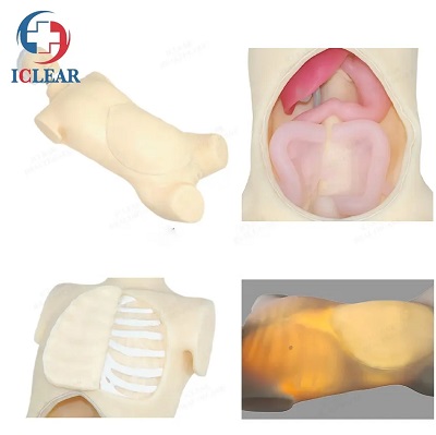 MÔ HÌNH NỘI SOI LỒNG NGỰC, NỘI SOI Ổ BỤNG, MÔ PHỎNG ĐÀO TẠO TÍCH HỢP NỘI SOI TỬ CUNG