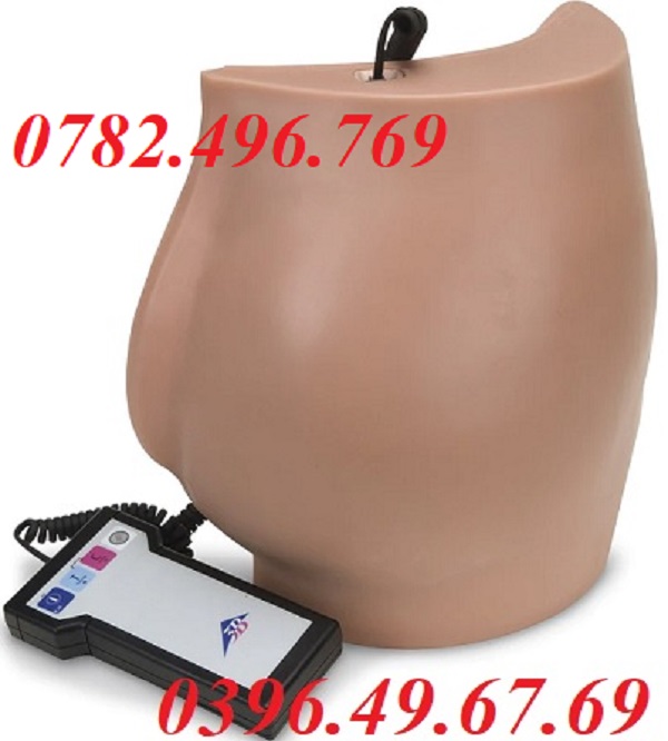 MÔ HÌNH TIÊM BẮP MÔNG SB50177 NASCO