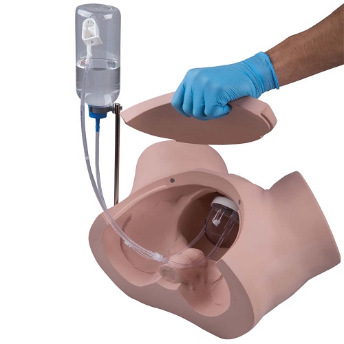 MÔ HÌNH THÔNG TIỂU NỮ 1020229 3B - ĐỨC