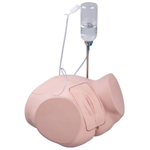 MÔ HÌNH THÔNG TIỂU NỮ 1020229 3B - ĐỨC