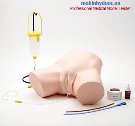 MÔ HÌNH THÔNG TIỂU NAM - NỮ CƠ BẢN VỚI DA MỀM MẠI M160-2, M160-3 SAKAMOTO