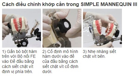 BỘ MÔ HÌNH THỰC HÀNH NHA KHOA NISSIN - SIMPLE MANIKIN III