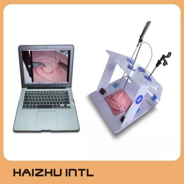 MÔ HÌNH THỰC HÀNH ĐÀO TẠO NỘI SOI