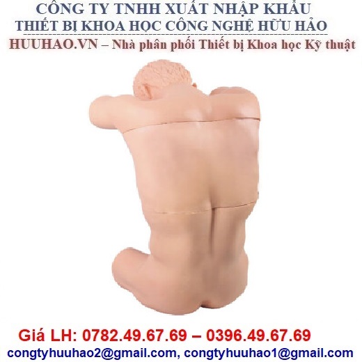 MÔ HÌNH CHỌC DÒ MÀNG KHÍ, MÀNG PHỔI