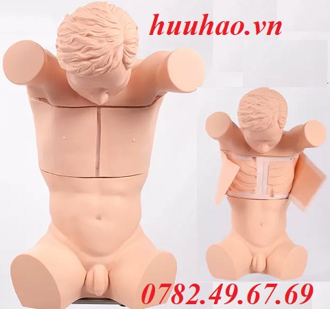 MÔ HÌNH THỰC HÀNH CHỌC DỊCH MÀNG PHỔI
