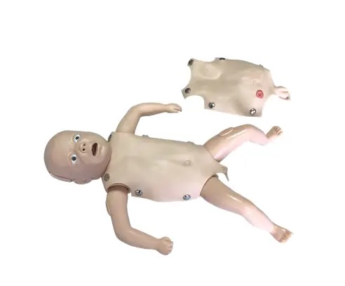 MÔ HÌNH THỰC HÀNH ĐÀO TẠO ĐIỀU DƯỠNG TRẺ SƠ SINH YL424