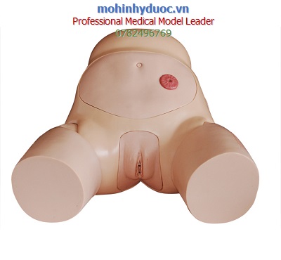 MÔ HÌNH THỰC HÀNH ĐẶT ỐNG THÔNG NIỆU ĐẠO (THÔNG TIỂU) TIÊN TIẾN CHO NAM VÀ NỮ