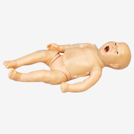MÔ HÌNH THỰC HÀNH ĐIỀU DƯỠNG TRẺ SƠ SINH ĐA CHỨC NĂNG GD/FT335