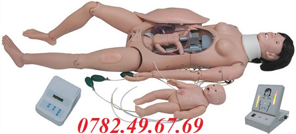 MÔ HÌNH THỰC HÀNH CHUYỂN DẠ VÀ ĐỠ ĐẺ GD/F55