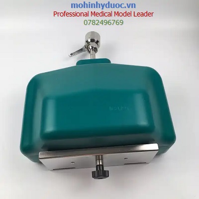 MÔ HÌNH THỰC HÀNH KHÁM RĂNG - NHA KHOA