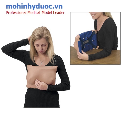 MÔ HÌNH THỰC HÀNH KHÁM VÚ LF00984U NASCO