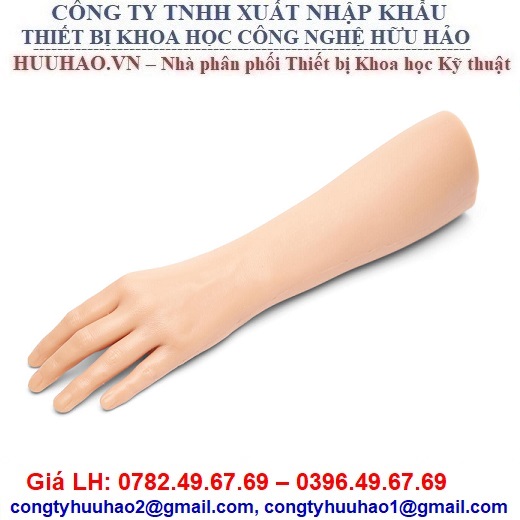 MÔ HÌNH ĐÀO TẠO KHÂU VẾT THƯƠNG CHI TRÊN